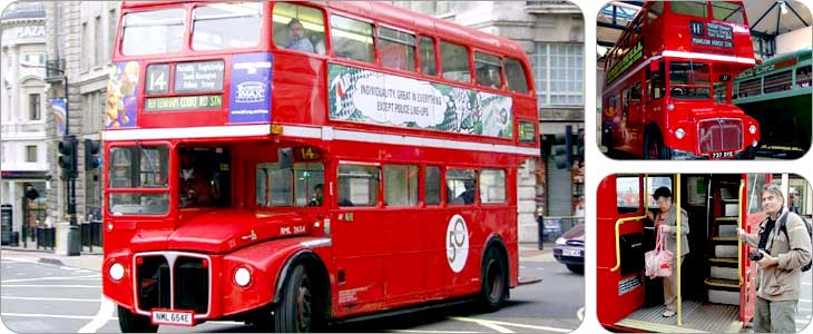 รถเมล์แดง (Red Bus)