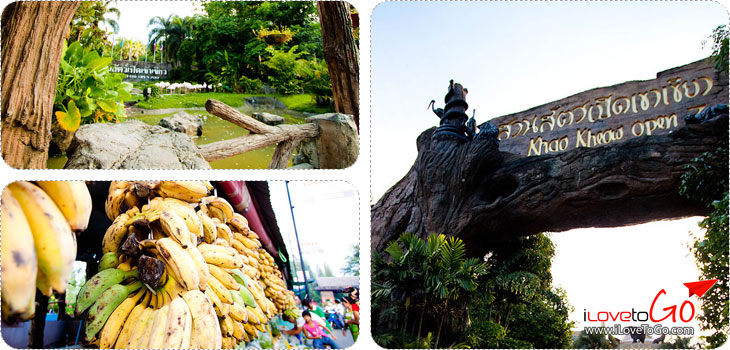 สวนสัตว์เปิดเขาเขียว