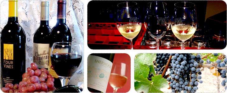 Wine New zealand