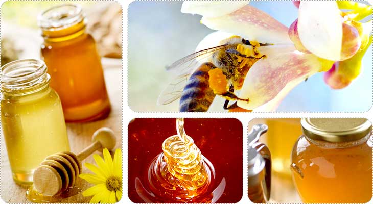 น้ำผึ้งมานูกา (manuka honey)