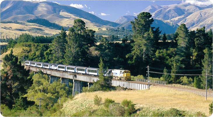 รถไฟสายโรแมนติค (TRANZ ALPINE)