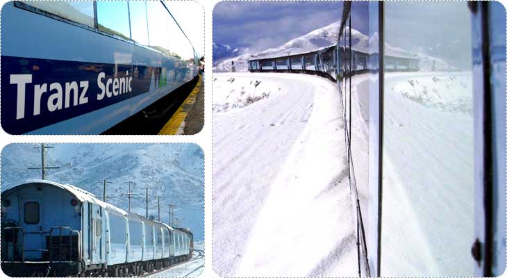 TRANZ ALPINE บนหิมะ