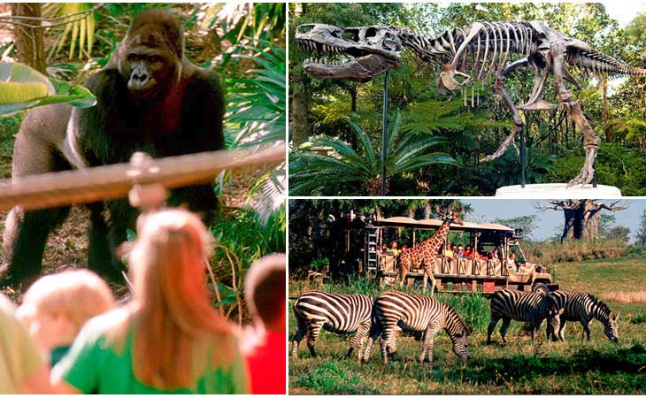 ดีสนีย์อนิมอลคิงดอม(Disney’s Animal Kingdom)