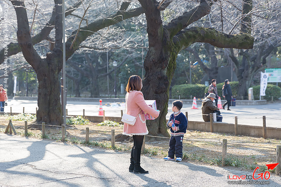 เที่ยวญี่ปุ่น โตเกียว ด้วยตัวเอง Japan Tokyo Trip สวน ueno park