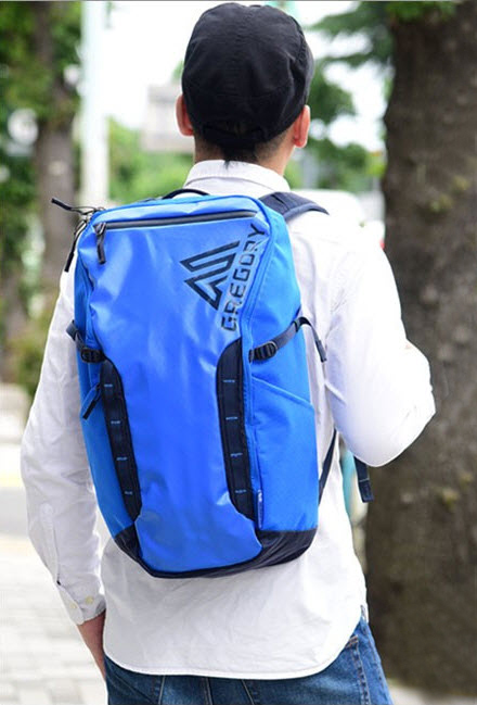 กระเป๋า Gregory Alpaca Day 25L