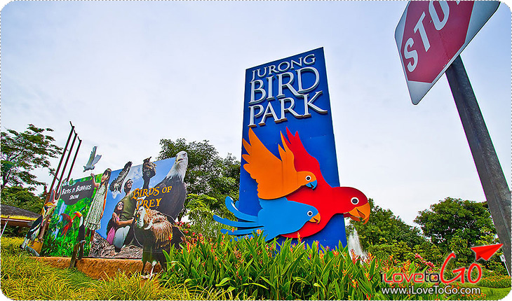 à¸œà¸¥à¸à¸²à¸£à¸„à¹‰à¸™à¸«à¸²à¸£à¸¹à¸›à¸ à¸²à¸žà¸ªà¸³à¸«à¸£à¸±à¸š à¸ªà¸§à¸™à¸™à¸à¸ˆà¸¹à¸£à¹ˆà¸‡ (Jurong Bird Sanctuary)
