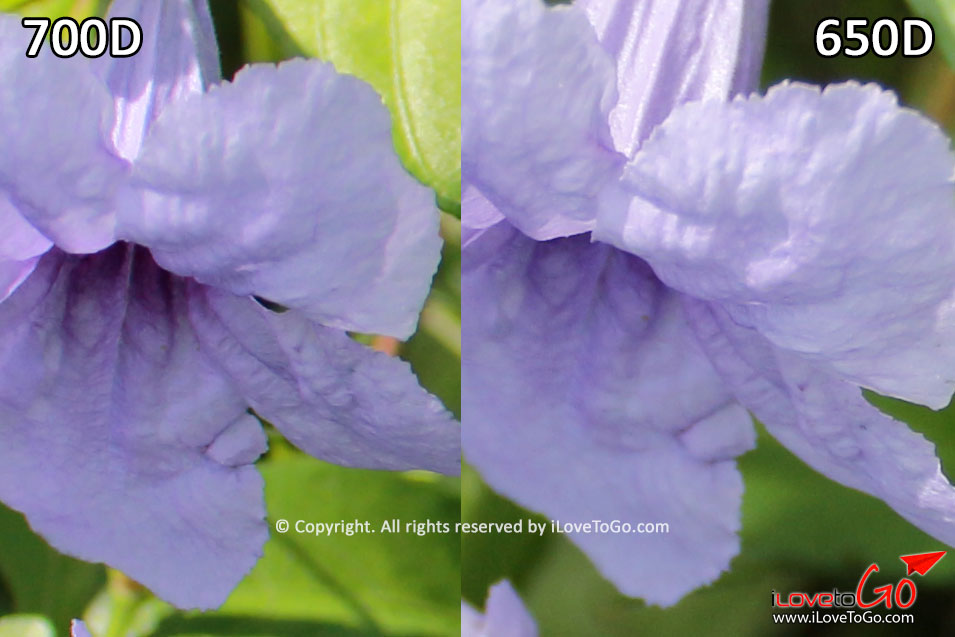 Review,Canon,รีวิว,Canon EOS 700D,Kiss X7i,Rebel T5i,กล้องดิจิตอล,คู่มือกล้อง,คู่มือกล้อง Canon 700D,Canon 700D Manual,Canon 700D Manual Thai,Canon 700D Manual ภาษาไทย,Review 700D,รีวิว 700D,รีวิว Canon