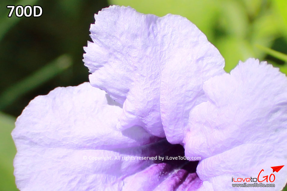 Review,Canon,รีวิว,Canon EOS 700D,Kiss X7i,Rebel T5i,กล้องดิจิตอล,คู่มือกล้อง,คู่มือกล้อง Canon 700D,Canon 700D Manual,Canon 700D Manual Thai,Canon 700D Manual ภาษาไทย,Review 700D,รีวิว 700D,รีวิว Canon