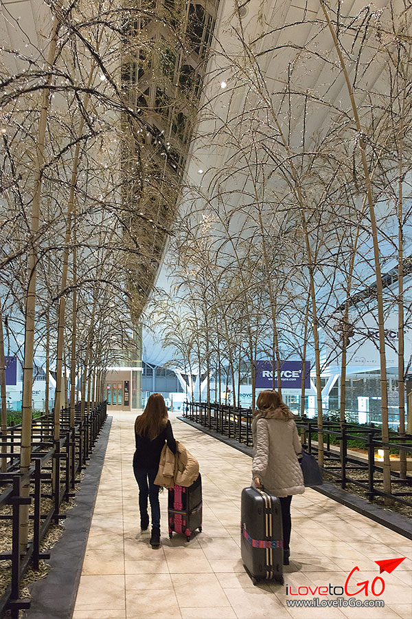 เที่ยวญี่ปุ่น โตเกียว ด้วยตัวเอง Japan Tokyo สนามบินฮาเนดะ นอน haneda airport 