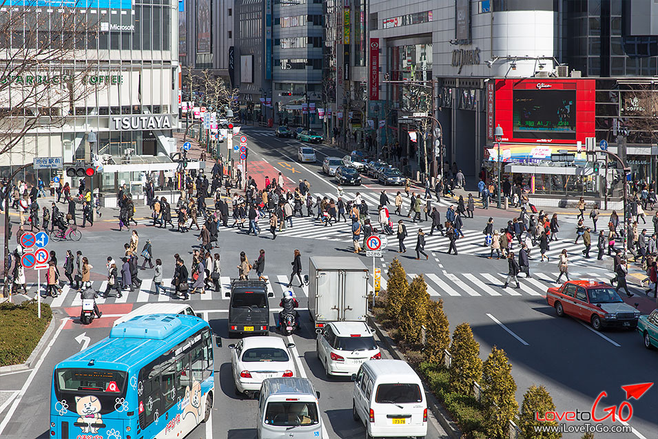 เที่ยวญี่ปุ่น โตเกียว ด้วยตัวเอง Japan Tokyo แยกชิบูย่า Shibuya ชิบุยะ shopping