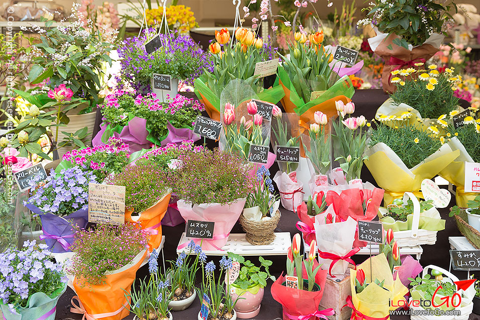 เที่ยวญี่ปุ่น โตเกียว ด้วยตัวเอง Japan Tokyo Trip ตลาด ameyoko อาเมโยโกะ