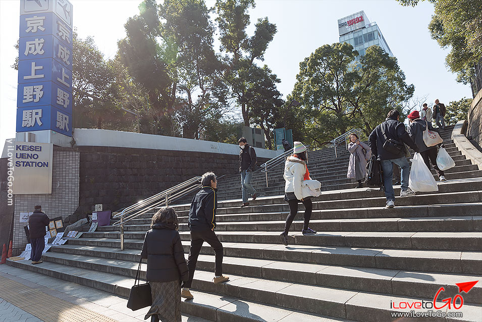 เที่ยวญี่ปุ่น โตเกียว ด้วยตัวเอง Japan Tokyo Trip สวน ueno park