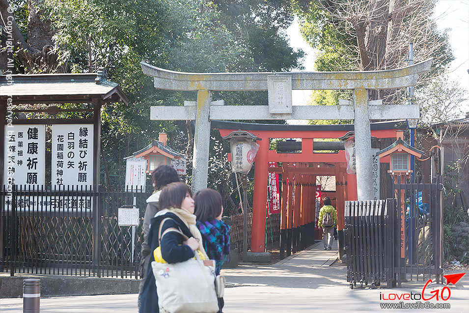 เที่ยวญี่ปุ่น โตเกียว ด้วยตัวเอง Japan Tokyo Trip สวน ueno park