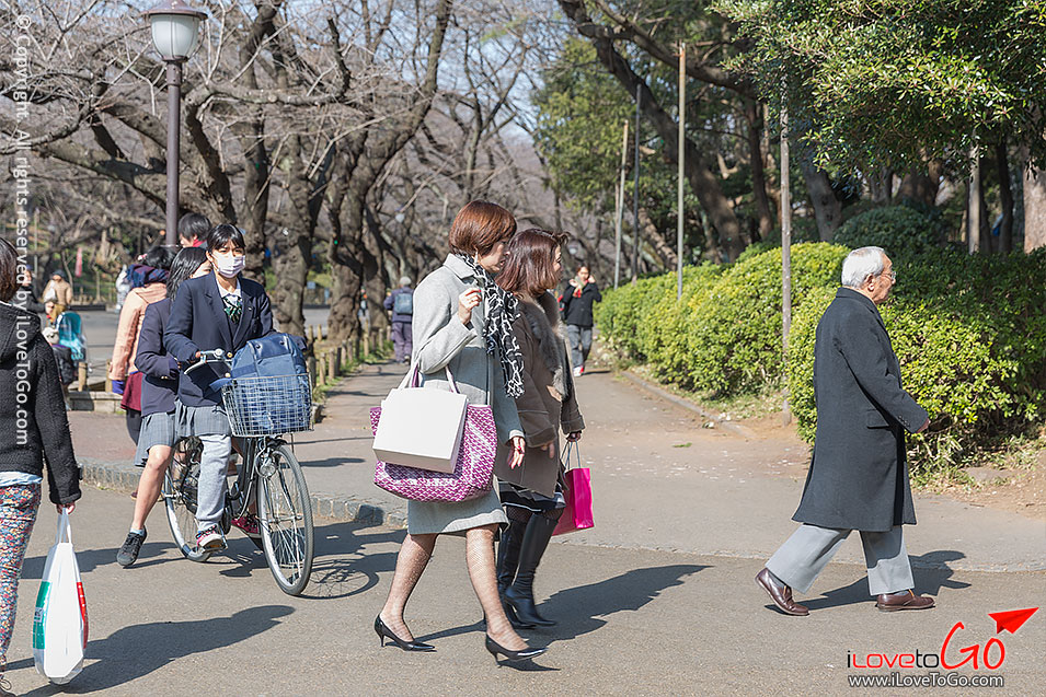 เที่ยวญี่ปุ่น โตเกียว ด้วยตัวเอง Japan Tokyo Trip สวน ueno park