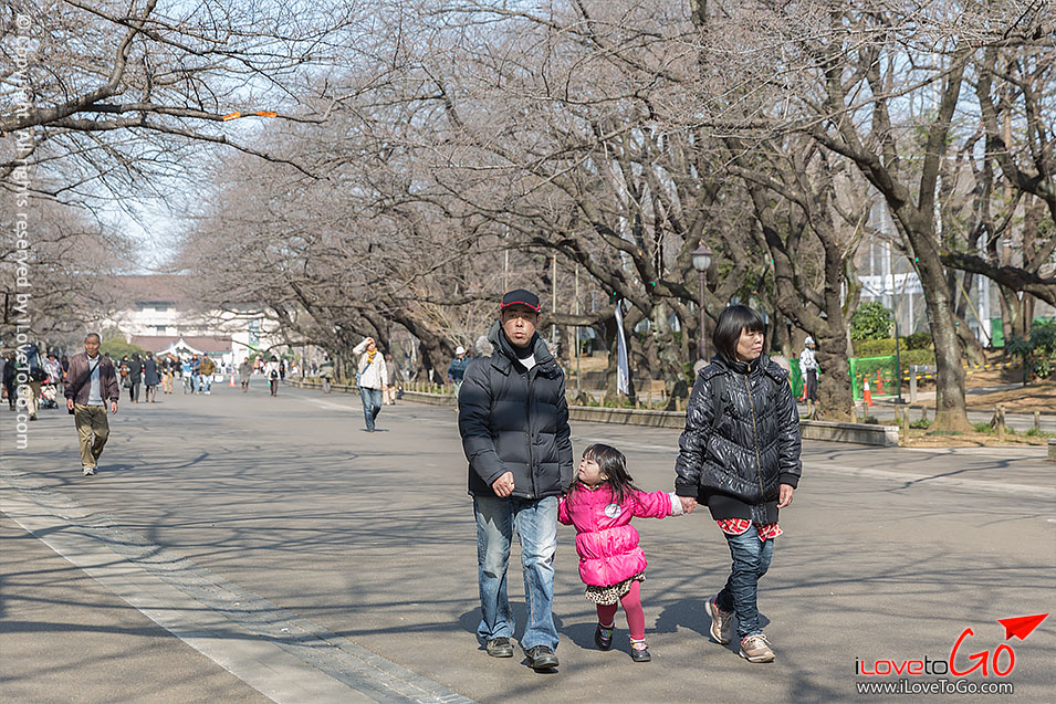 เที่ยวญี่ปุ่น โตเกียว ด้วยตัวเอง Japan Tokyo Trip สวน ueno park