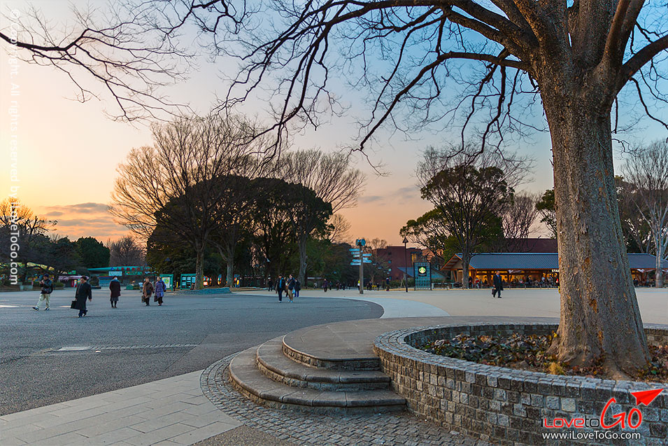 เที่ยวญี่ปุ่น โตเกียว ด้วยตัวเอง Japan Tokyo Trip สวน ueno park