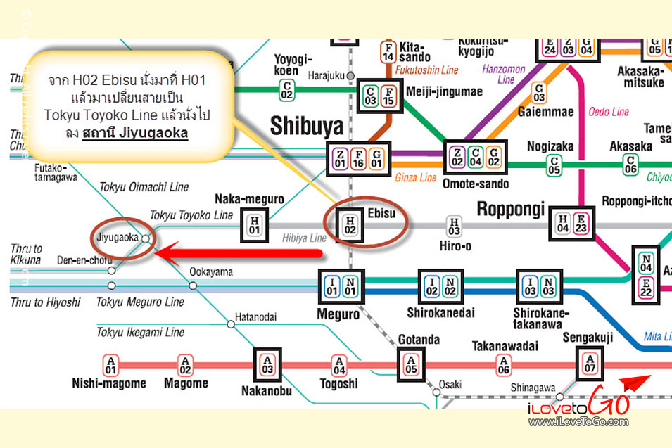 เที่ยวญี่ปุ่นด้วยตัวเอง Japan Tokyo Trip จิยูกาโอกะ เมืองน่ารัก Jiyugaoka Roppongi รปปงงิ เอะบิสุ Ebisu เบียร์ Sapporo Yebisu Garden Place หอคอยโตเกียว Tokyo Tower