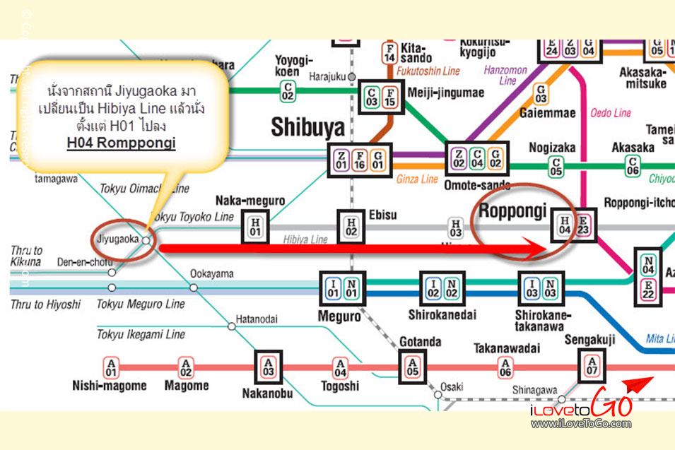 เที่ยวญี่ปุ่นด้วยตัวเอง Japan Tokyo Trip จิยูกาโอกะ เมืองน่ารัก Jiyugaoka Roppongi รปปงงิ เอะบิสุ Ebisu เบียร์ Sapporo Yebisu Garden Place หอคอยโตเกียว Tokyo Tower