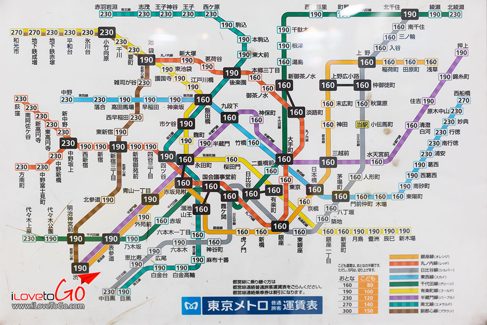 เที่ยวญี่ปุ่นด้วยตัวเอง Japan Tokyo Trip โตเกียวดิสนีย์ซี Tokyo Disney Sea ตลาดปลาทสึกิจิ ซูชิได sushi tsukiji sushi sunmai tsukiji fish market