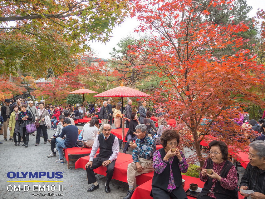 รีวิว Olympus OM-D E-M10 II
