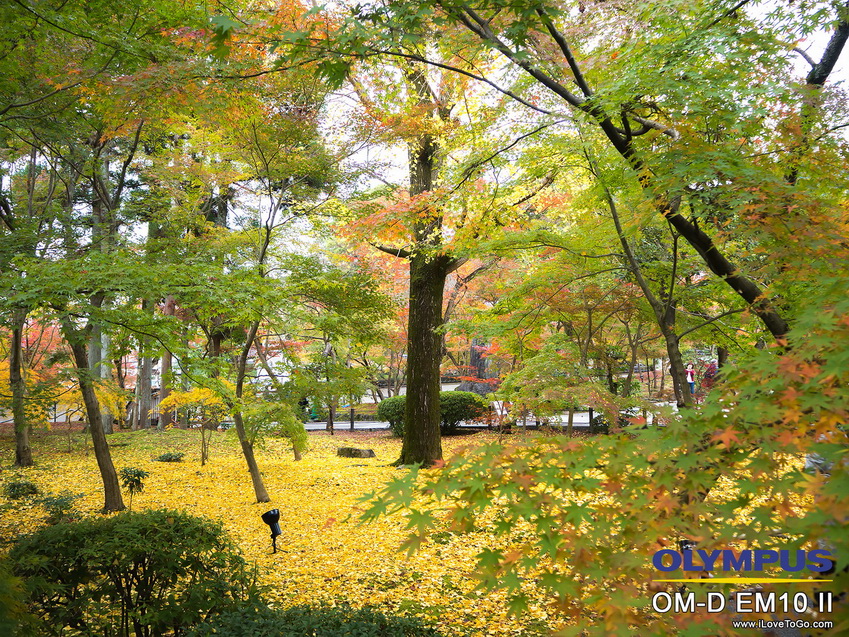 รีวิว Olympus OM-D E-M10 II