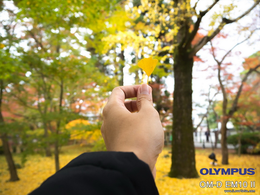 รีวิว Olympus OM-D E-M10 II