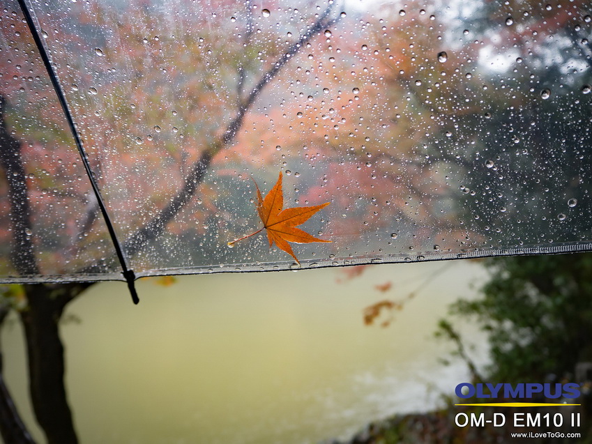 รีวิว Olympus OM-D E-M10 II