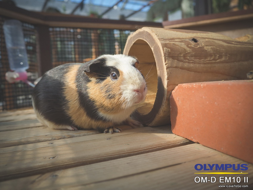 รีวิว Olympus OM-D E-M10 II
