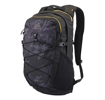 Gregory cheap laptop backpack