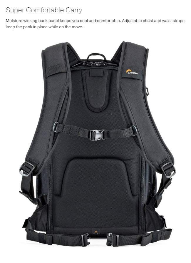 กระเป๋ากล้อง Flipside 300 AW II